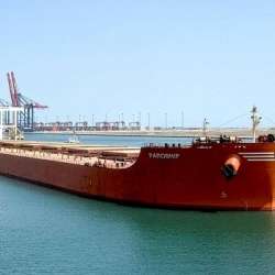 السفينة MV PAROSHIP