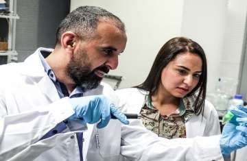 باحثون في جامعة نيويورك أبوظبي