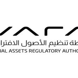 سلطة تنظيم الأصول الافتراضية 