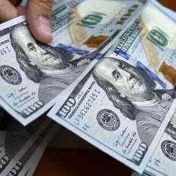 الدولار الأمريكي