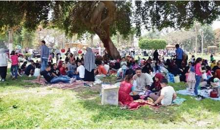 شاهد| المصريون يحتفلون بـ