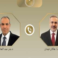 وزيرا خارجية تركيا ومصر