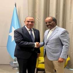 الرئيس الصومالي ووزير الخارجية المصري