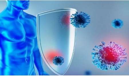 باحثون بأمريكا ينجحون في تعليم جهاز المناعة قبول الكبد المزروع دون أدوية