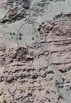 Dubai Police Rescue Two Tourists Stranded in Hatta Mountains