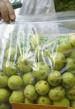 محاصيل زراعية