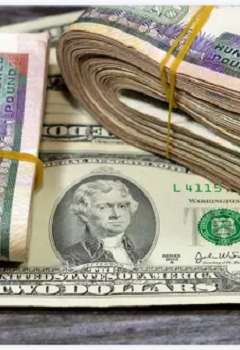 سعر الدولار