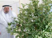 حاكم الشارقة