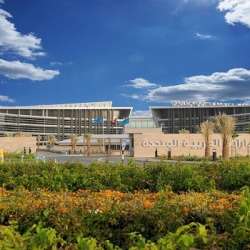 جامعة الإمارات العربية المتحدة