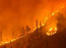 حرائق غابات النمسا