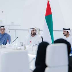 مجلس الوزراء الإماراتي