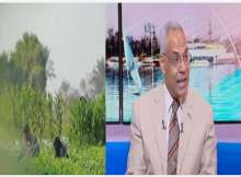 الموجة الحارة الحالية تهدد المحاصيل