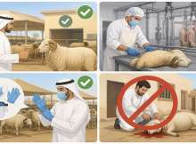 الصحة الإماراتية