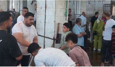 مدير عام المجازر: المصريون ذبحوا أكثر من 35 ألف أضحية خلال العيد