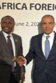 وزيرا خارجية مصر وجنوب السودان