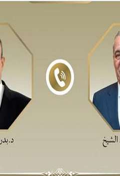 وزير الخارجية المصري يبحث مع نائب رئيس فلسطين تطورات الأوضاع