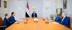 اجتماع السيسي