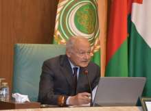 أحمد أبو الغيط