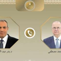 وزيرا خارجية فلسطين ومصر
