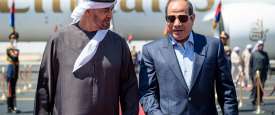 الرئيس عبد الفتاح السيسي والشيخ محمد بن زايد