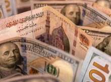 الدولار الأمريكي