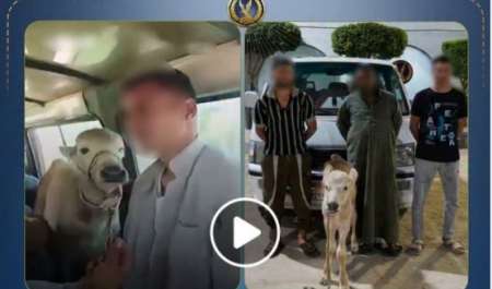 مصر: بعد انتشار فيديو 