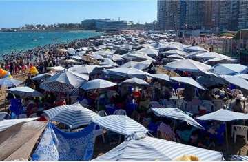 شواطئ الإسكندرية