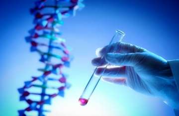 DNA 