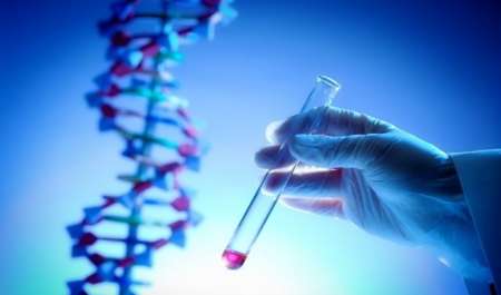 استشاري بكتيريا: تحليل DNA يمنح معلومات عن طبيعة استجابة الجسم للأطعمة