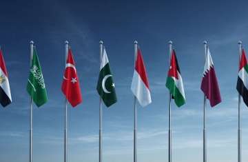 الإمارات ومصر ودول عربية وإسلامية