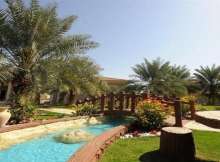 حديقة