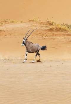 صورة تعبيرية