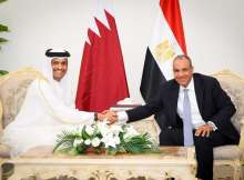 وزيرا خارجية مصر وقطر