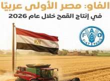 الفاو