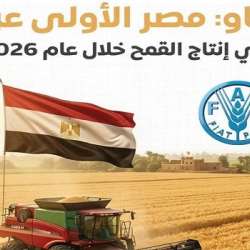 الفاو