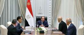 اجتماع السيسي