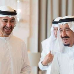 الملك سلمان بن عبدالعزيز والرئيس محمد بن زايد