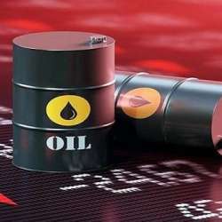 سعر النفط
