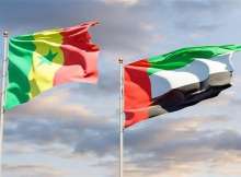الإمارات والسنغال