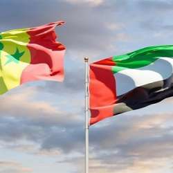 الإمارات والسنغال