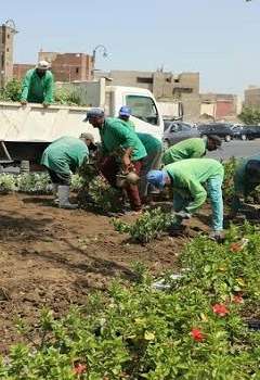 مبادرة تخضير القاهرة