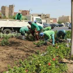مبادرة تخضير القاهرة