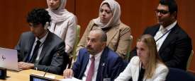 خليفة شاهين المرر