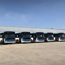الأتوبيس الترددي (BRT)