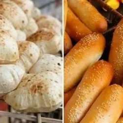 أسعار الفينو والعيش السياحي