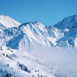 صورة تعبيرية