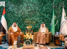 الوزيران السعودي والإماراتي