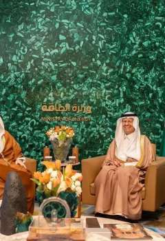 الوزيران السعودي والإماراتي