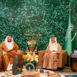 الوزيران السعودي والإماراتي