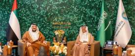 الوزيران السعودي والإماراتي